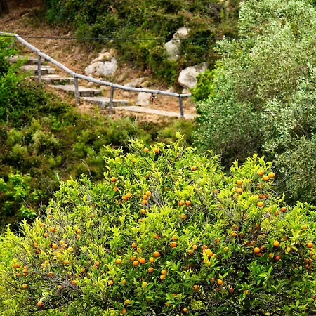 Appartamento Lithea And By The Sea Agios Petros (Alonissos)