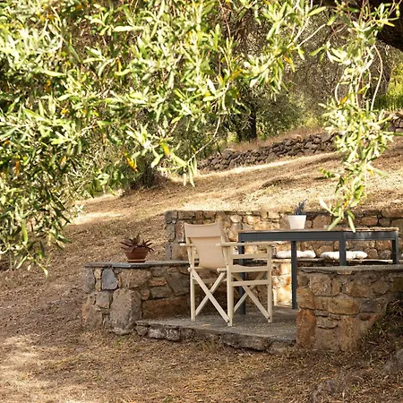 Lithea And By The Sea * Agios Petros (Alonissos)