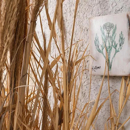 Lithea And By The Sea Daire Agios Petros (Alonissos)