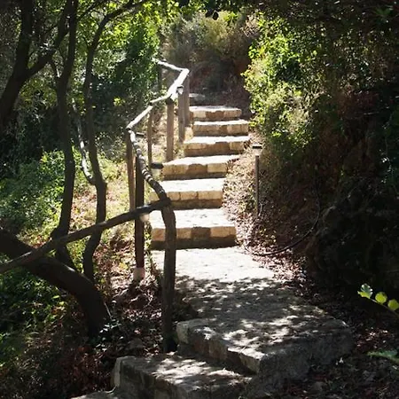 Lithea And By The Sea Agios Petros (Alonissos)
