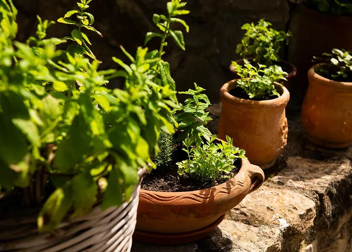 Lithea And By The Sea 公寓 Agios Petros (Alonissos)